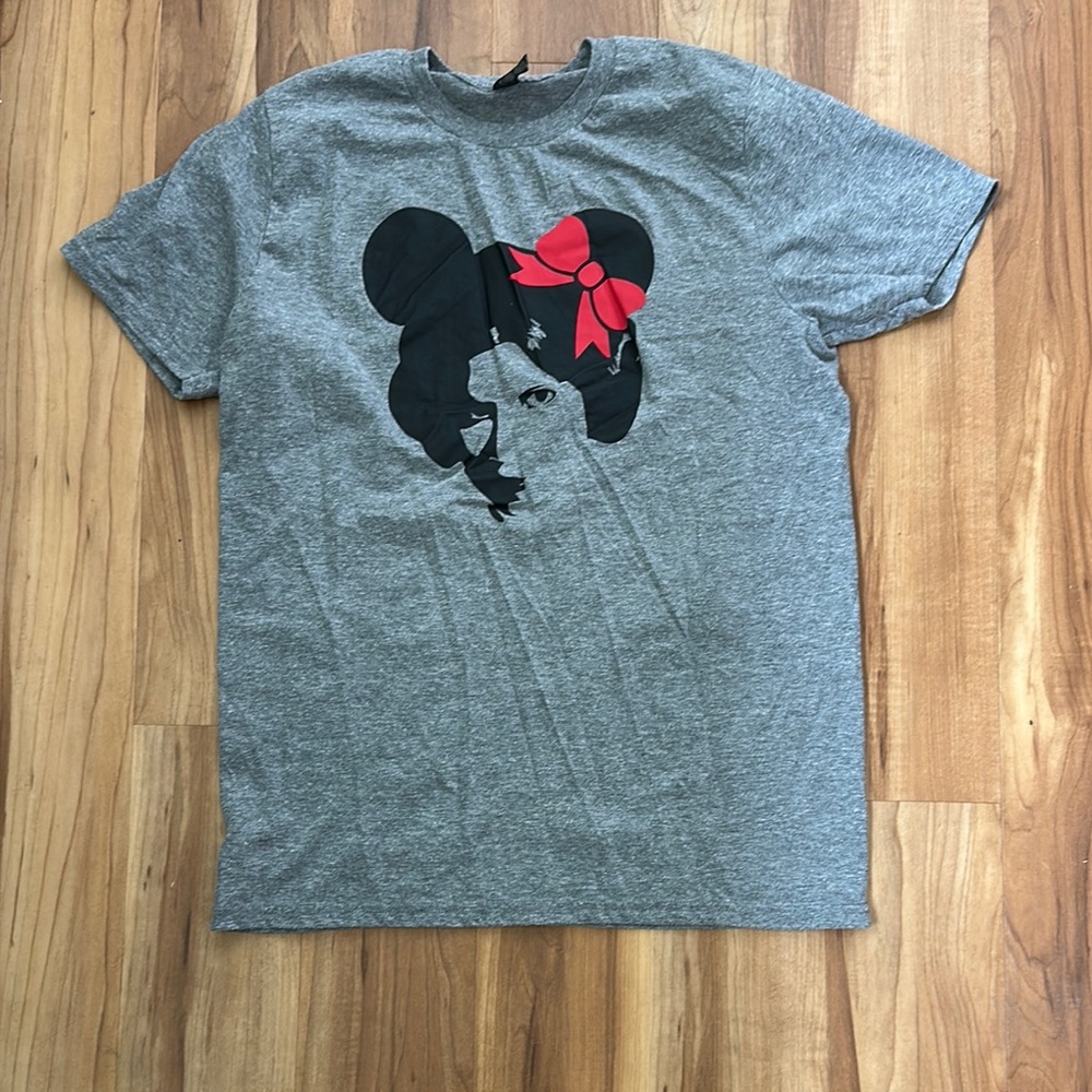 Disney parks 4 T-shirt set